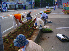 花壇の手入れ