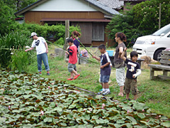 睡蓮畑でザリガニつり！