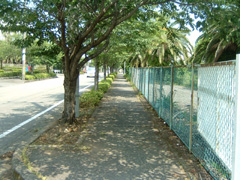 作業後のようす