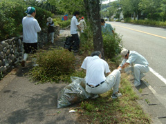 清掃・剪定作業中