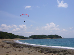 飛んでいくところ