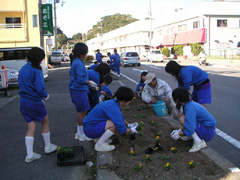 中学生職業体験学習