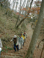 護摩壇山紅葉の森トレッキング　第６回森林見学会