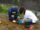 植樹の様子