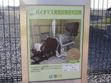 バイオマス発電