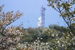 日の岬パークから見た日ノ御埼灯台
