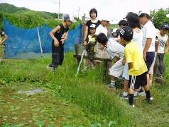 ビオトープ切目川