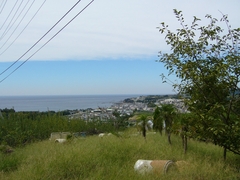 中山王子からの眺望
