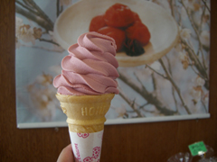 梅ソフトの写真