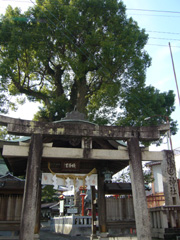 蟻通神社