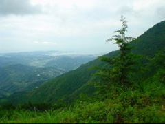 田辺湾側の大パノラマ