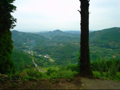 槇山山頂手前よりの眺望