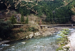 大塔青少年旅行村の「長〜い吊り橋」