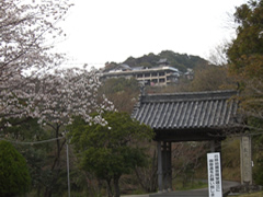 救馬渓観音の写真