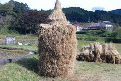 稲叢・穂積・鈴木