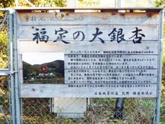 国道311号に設置された案内板