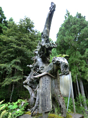 交通安全の神木