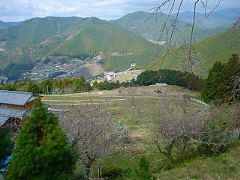 江戸時代に創建された「栖雲寺」