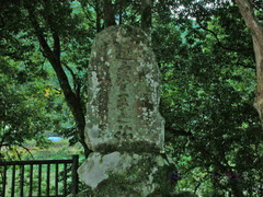 近露王子碑の文字