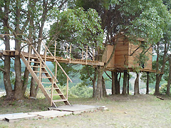 ツリーハウス全景