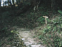 山本玄峰老師の墓