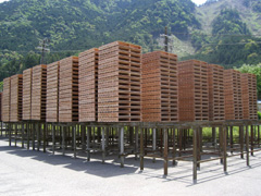 木製のパレットがいっぱい