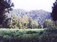 尾切り地蔵の前