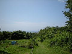 展望台からの眺望