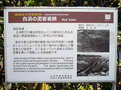 白浜の泥岩岩脈の説明板