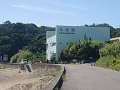 京大白浜水族館