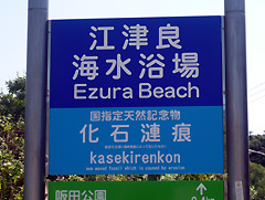 白浜化石漣痕の案内板