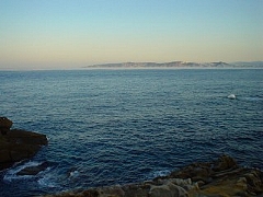 椿の磯　「オキノハ」〜「伊勢崎」