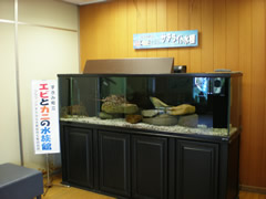 エビとカニの水族館の分室