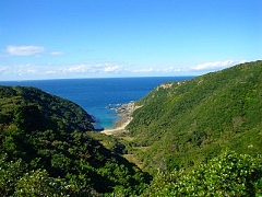 市江（いちえ）・「ハタ崎」