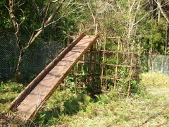 文字通りのジャングルジム