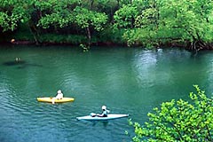 レンタルカヌー