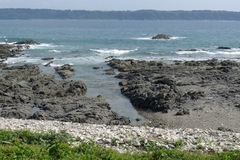 ダイビングスポット