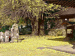 古座川町三尾川の光泉寺