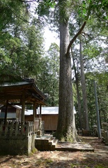 川岸神社