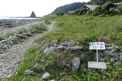 コーラルロード