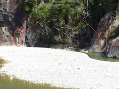 オオビトの足跡