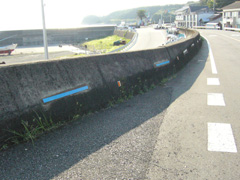 堤防に描かれた青色の点線