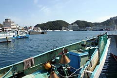 勝浦漁港と勝浦温泉