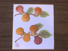 ヒオウギ貝を使った工作