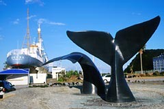 太地くじら浜公園