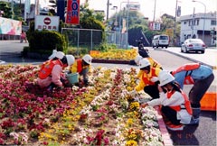 ボランティア・サポート・プログラム