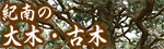 紀南の大木・古木