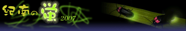 ホタル特集2007