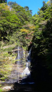 修験の滝の写真