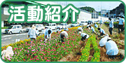 活動紹介